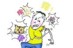 ݡ�����Σ������Щ