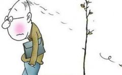 �����ѷ���ԭ��